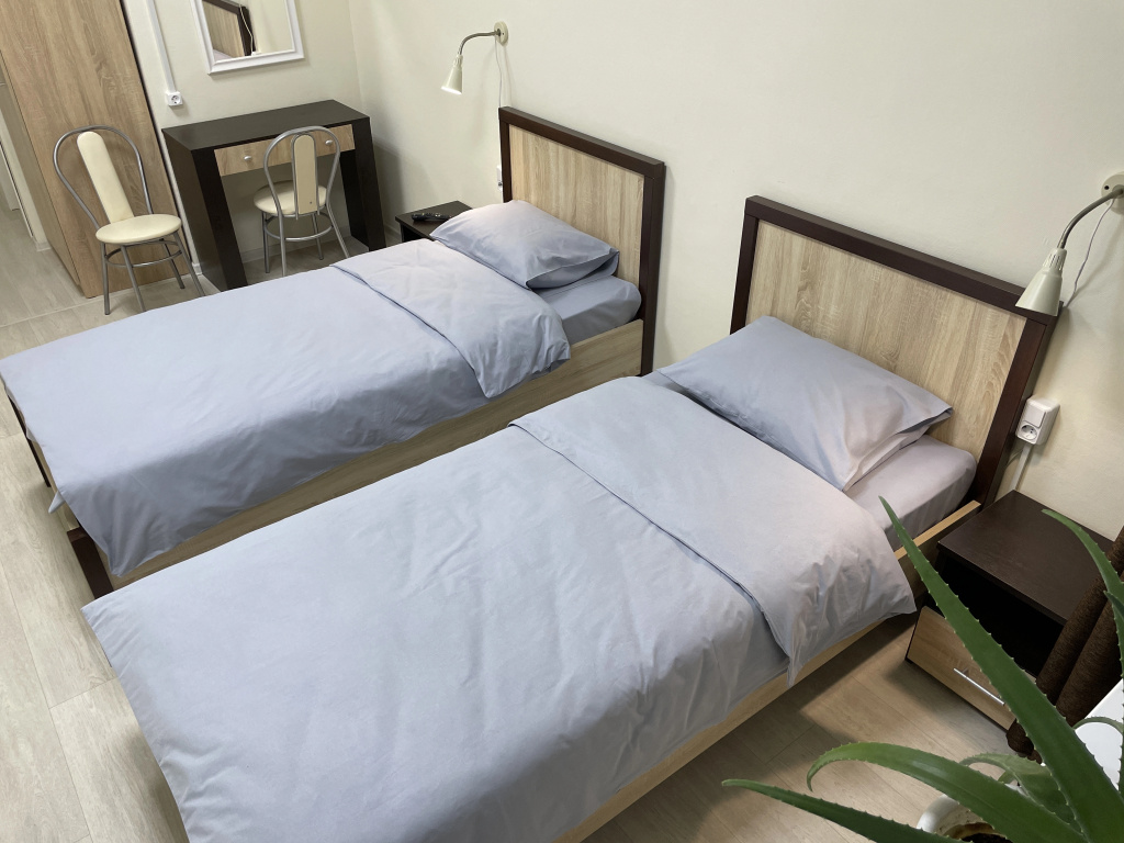 Standard Double room (twin beds)