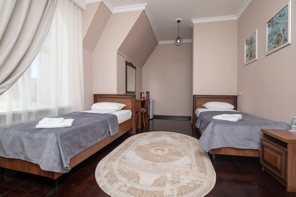 Comfort Double room (twin beds)