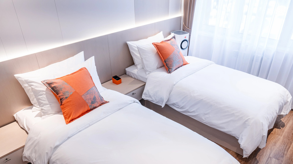 Standard Double room (twin beds)
