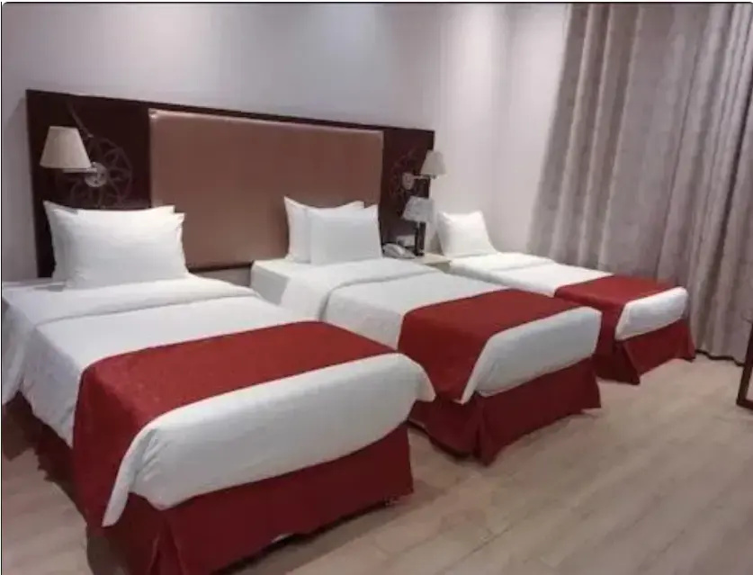 Standard Triple room with city view