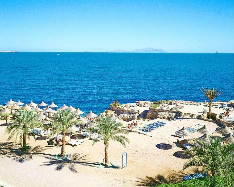 Dreams beach 5 египет шарм эль шейх