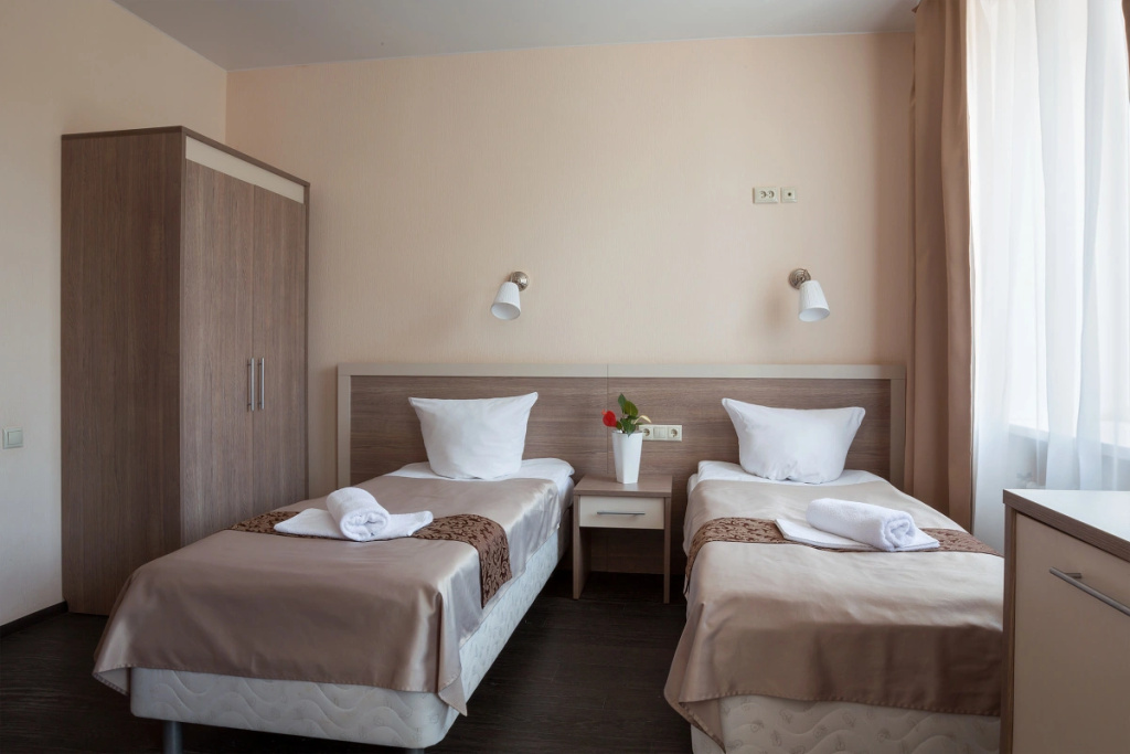 Standard Double room with courtyard view (twin beds)