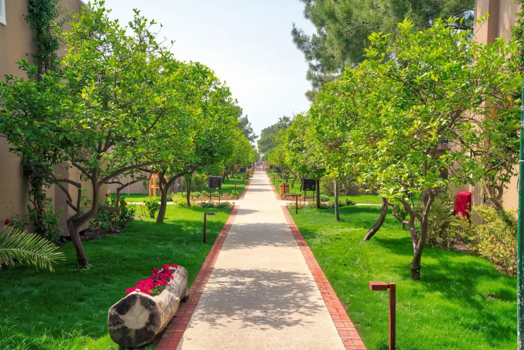 Отель Pirate's Beach Club - Ultra All Inclusive - фото 35