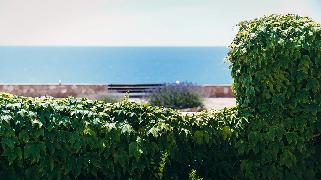 Гостевой Дом Морская Феерия - фото 9