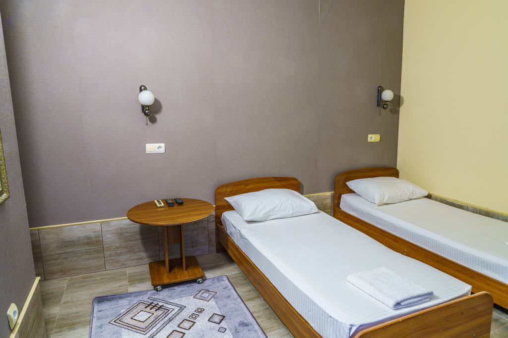Standard Double room with view (twin beds)
