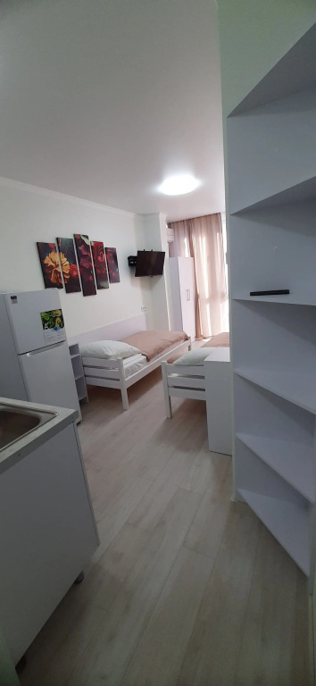 Двухместная студия с красивым видом из окна двуспальная кровать в Ностальгия