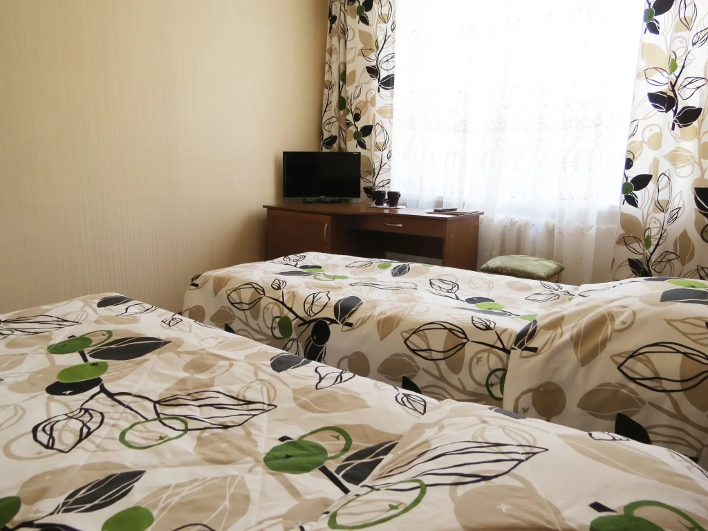 Jubileynaya Hotel Room Type - Standard Double room twin beds