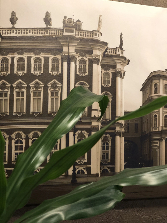 Мини-Отель Hermitage - фото 21