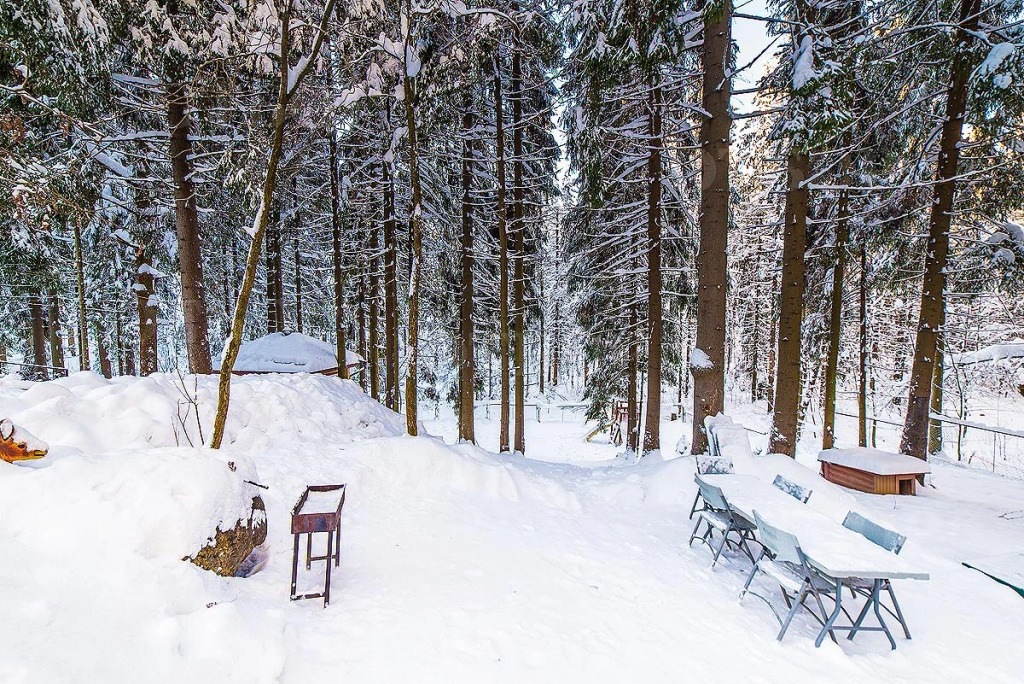 Гостевой дом  Домик Охотника - фото 14