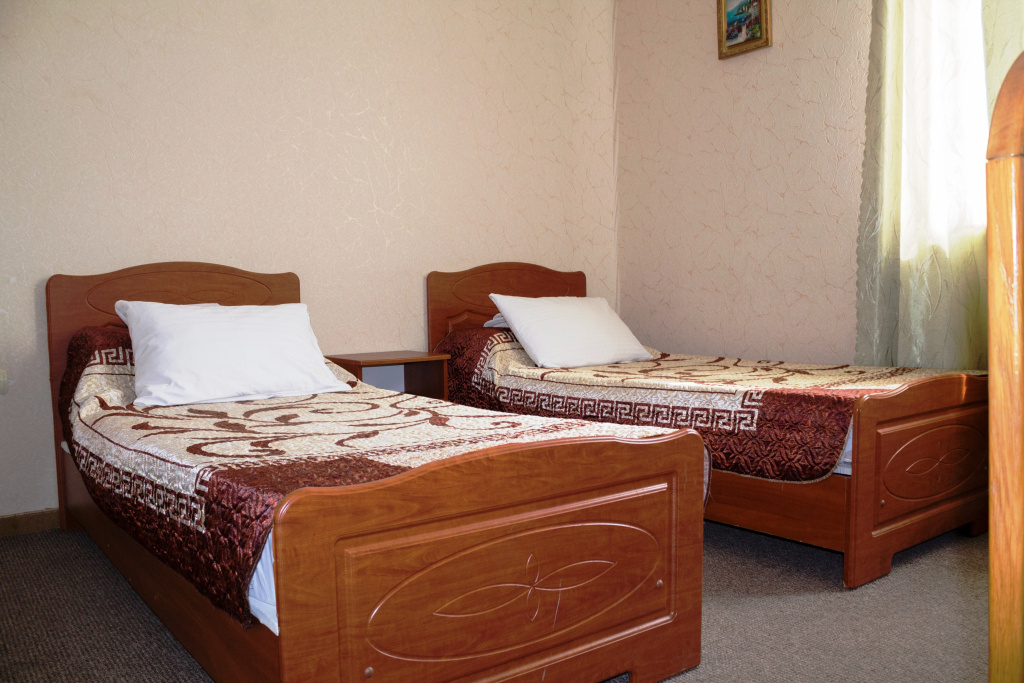 Standard Double room (twin beds)