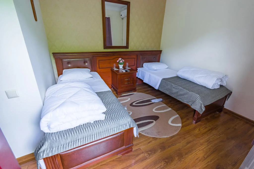 Superior Double room with balcony and with mountain view (full double bed)