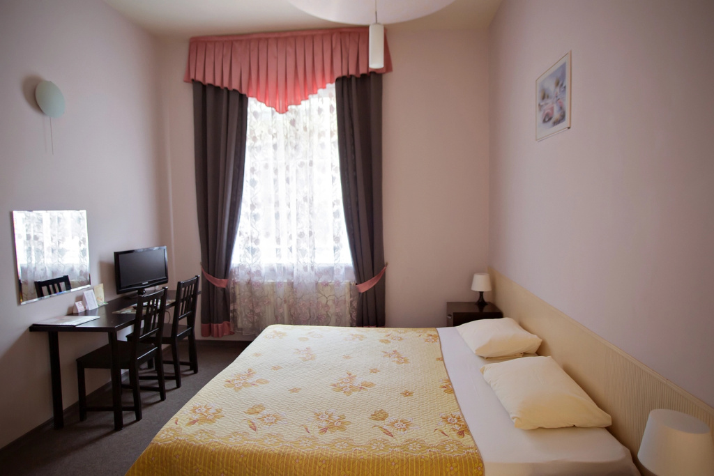 Standard Double room with city view (full double bed)