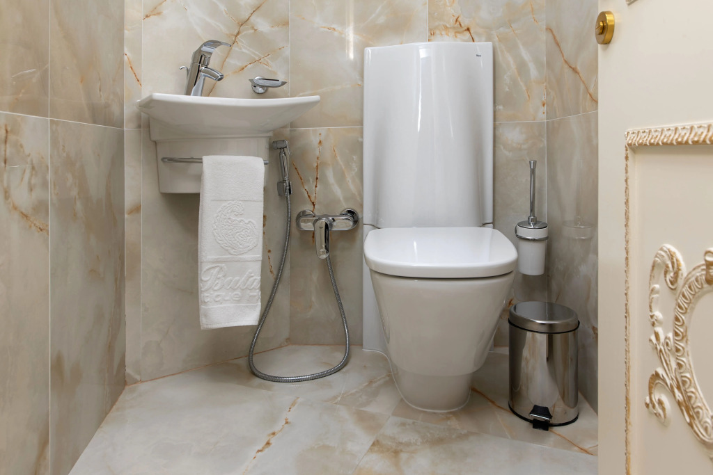 Люкс Superior Family в Buta