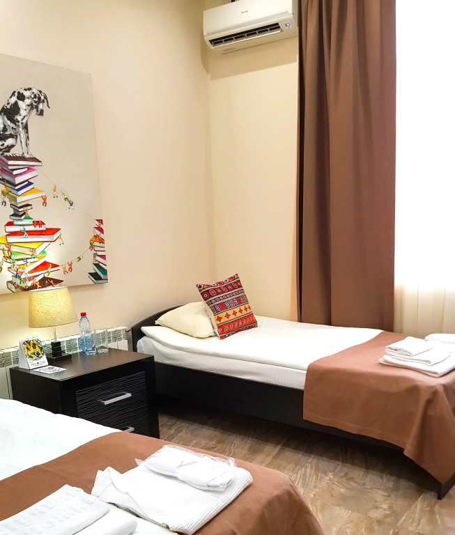 Standard Double room with city view (twin beds)