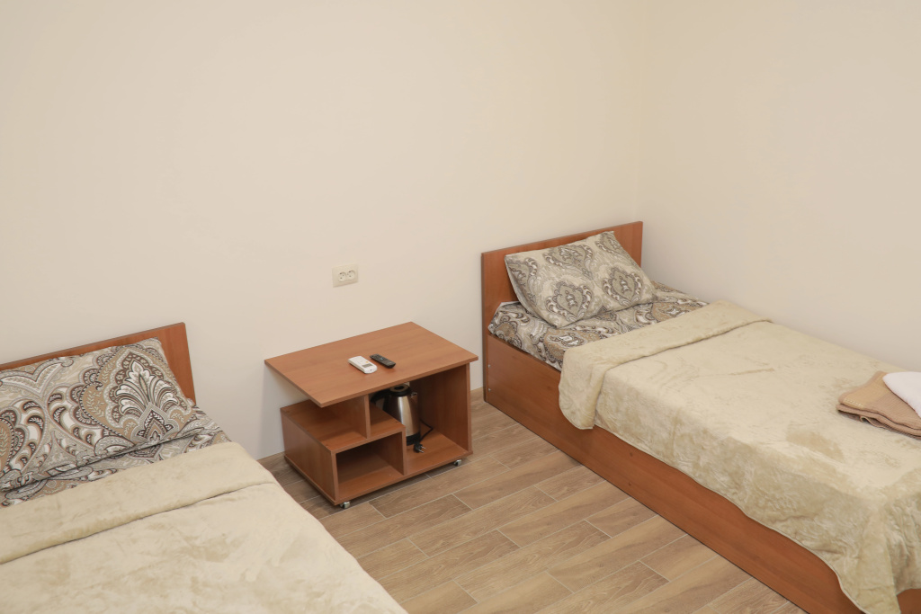 Standard Double room (twin beds)