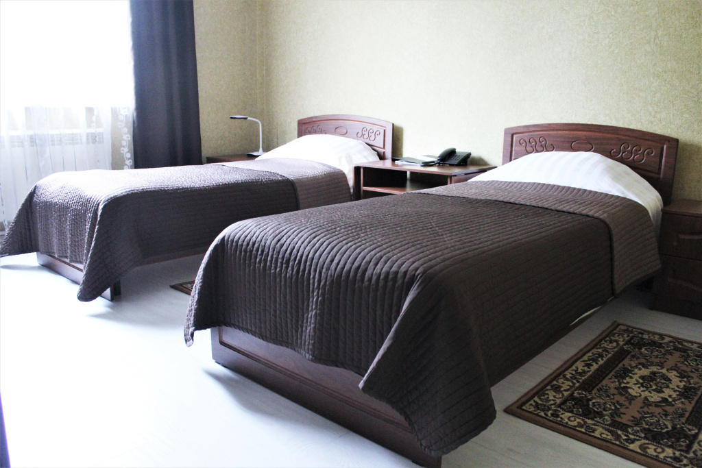 Vyirubovo Hotel Room Type - Comfort Double room twin beds