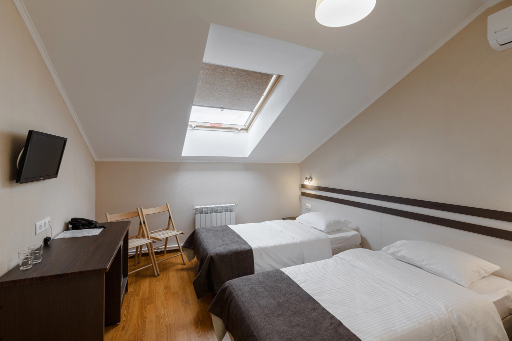 Standard Double Attic room (twin beds)