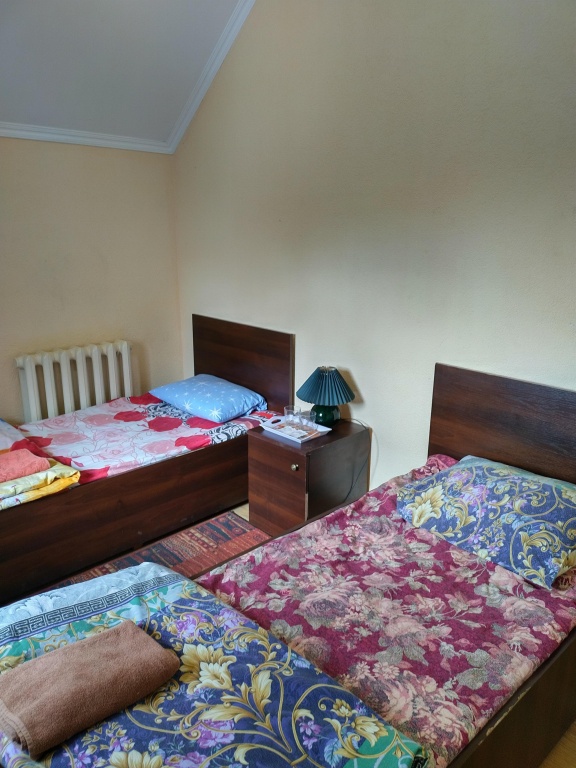 Feniks Mini-Hotel Room Type - Economy Double room twin beds