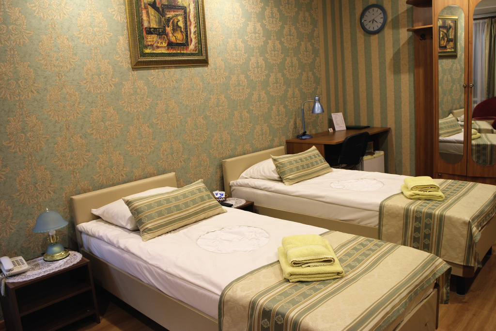 Hozyayushka Mini-hotel Room Type - Economy Double room twin beds