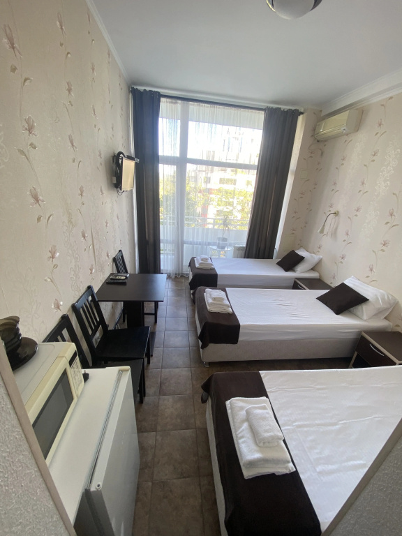Standard Triple room with balcony and with view
