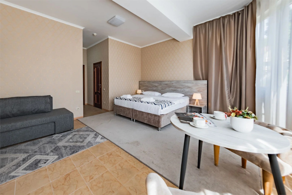 Bergs Spa and Сonference Hotel Room Type - Comfort Double room with city view twin beds