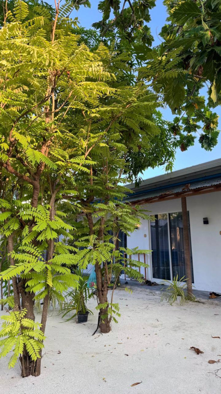 Island Serenity Guest house Dhiffushi — о. Діффуші, Мальдіви мініатюра 27