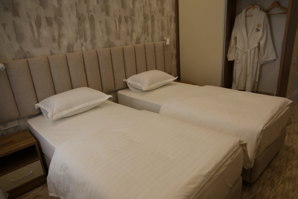 Standard Double room (twin beds)