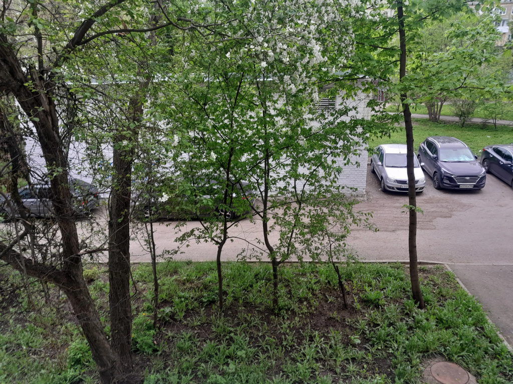 Hotel photo 37
