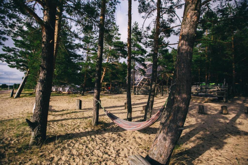 интернет сосновый бор. сосновый бор подмосковье парк. г сосновый бор ленинградской области. Wind hunters station ленинградская область, сосновый бор. серфинг станция в сосновом бору спб.