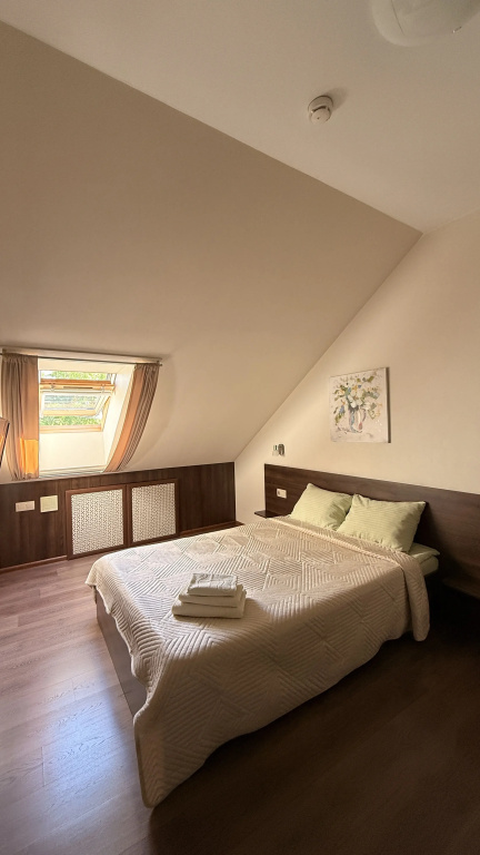 Standard Double Attic room (full double bed)