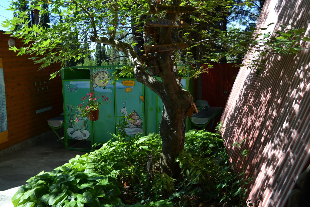 База Отдыха Солнечное - фото 25