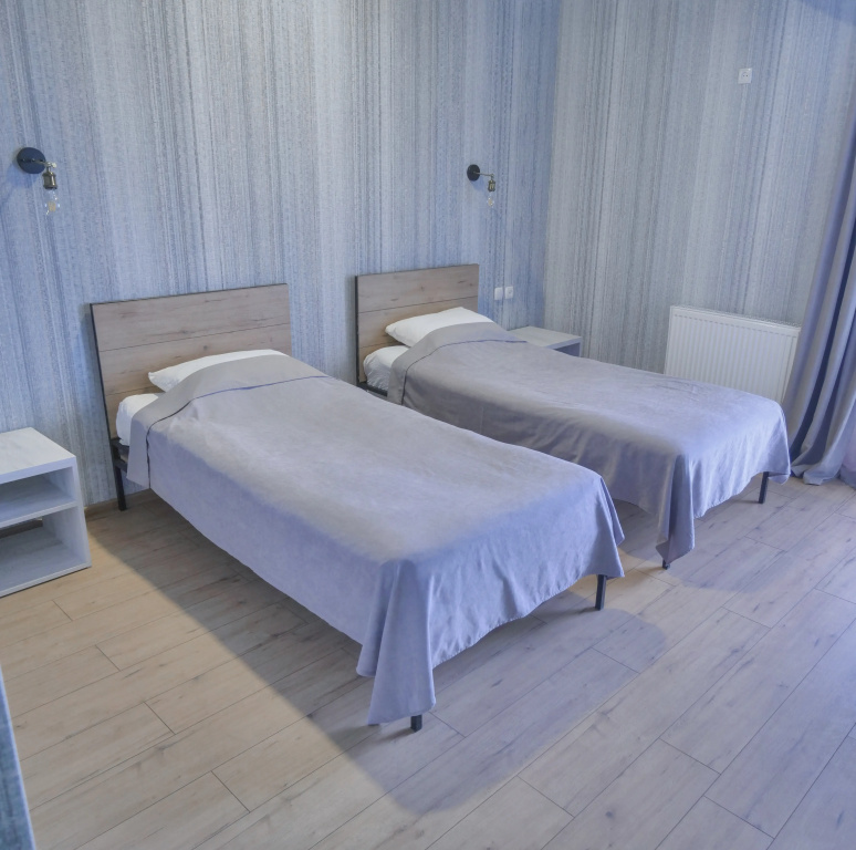 Standard Double room with balcony (twin beds)