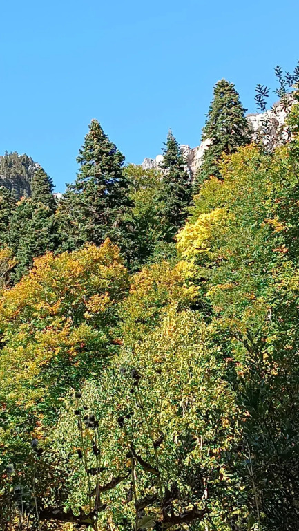 Жилое помещение ЮртХаджох малая - фото 4