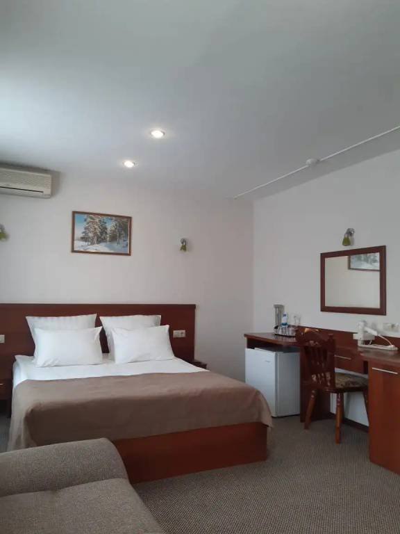 Tsentralnaya Hotel Room Type - Single Suite
