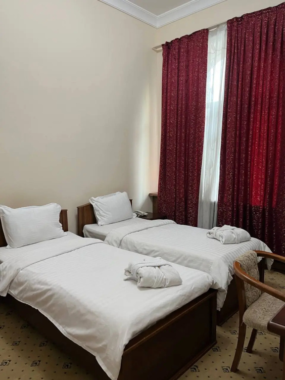 Economy Double room (twin beds)