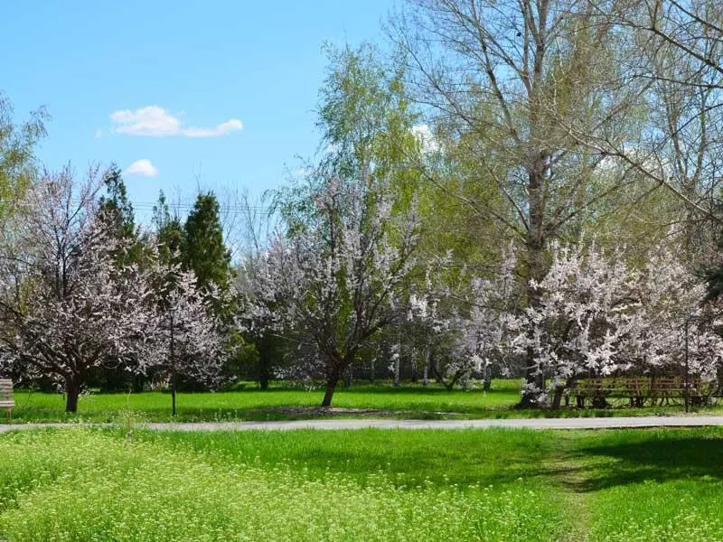 Отель Плес - фото 6