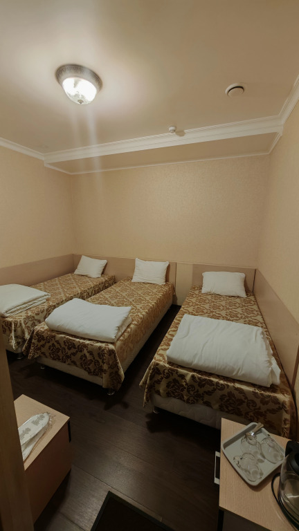 Трёхместный номер Economy в Престиж