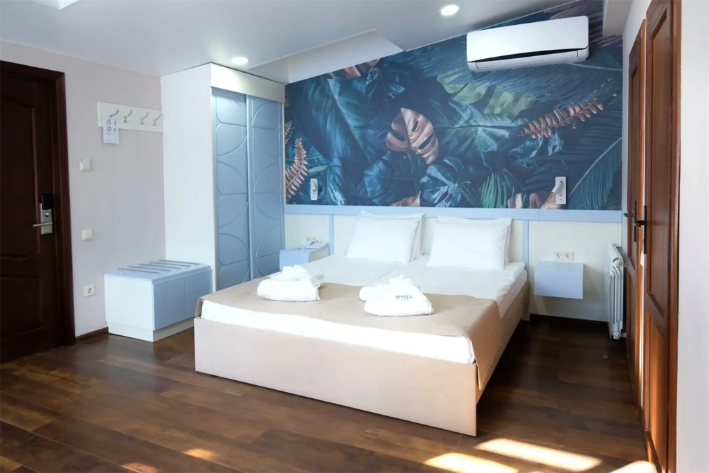 PANinter Hotel & Mineral Spa Room Type - 1-room Attic Double Studio full double bed
