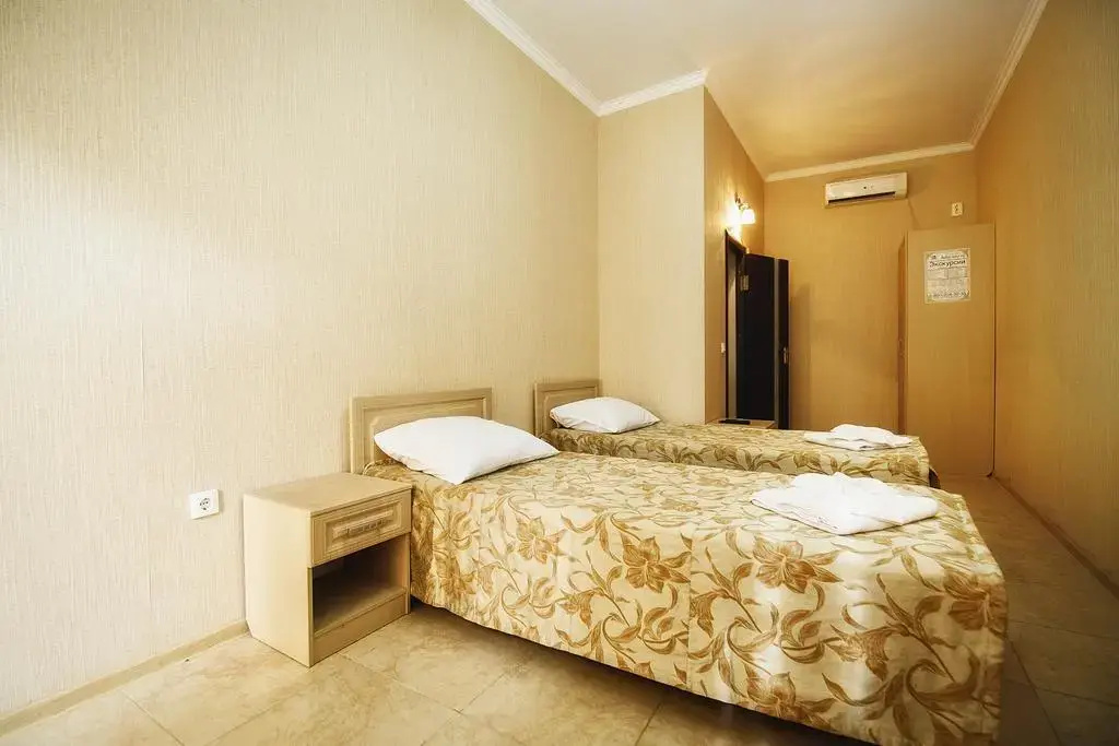 Standard Double room (twin beds)