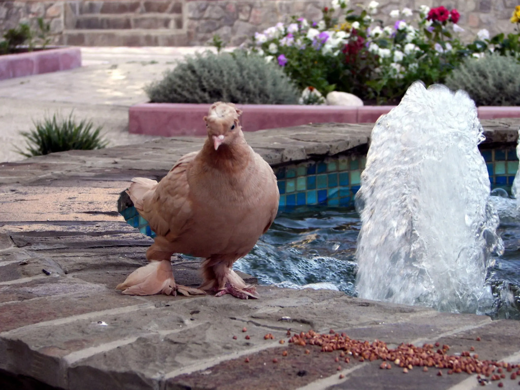 Приморский Дворик - фото 2