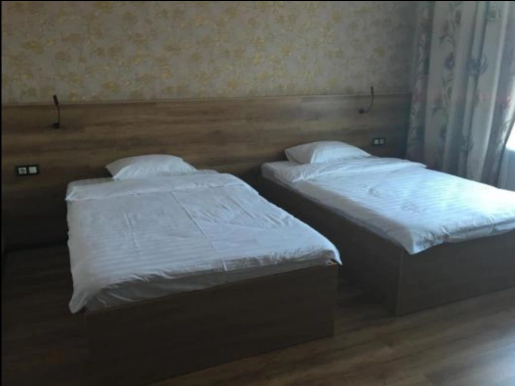 Deluxe Double room (twin beds)