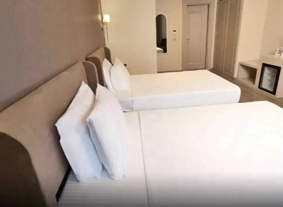 Deluxe Double room (twin beds)