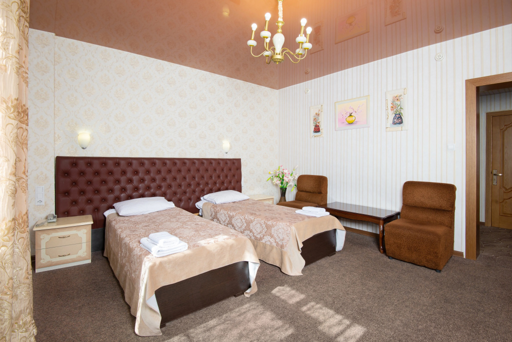 Двухместный номер 401 Делюкс (2 отдельные кровати) в Central