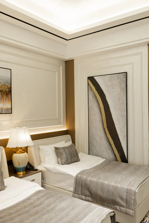 Standard Double room with balcony and with city view (twin beds)