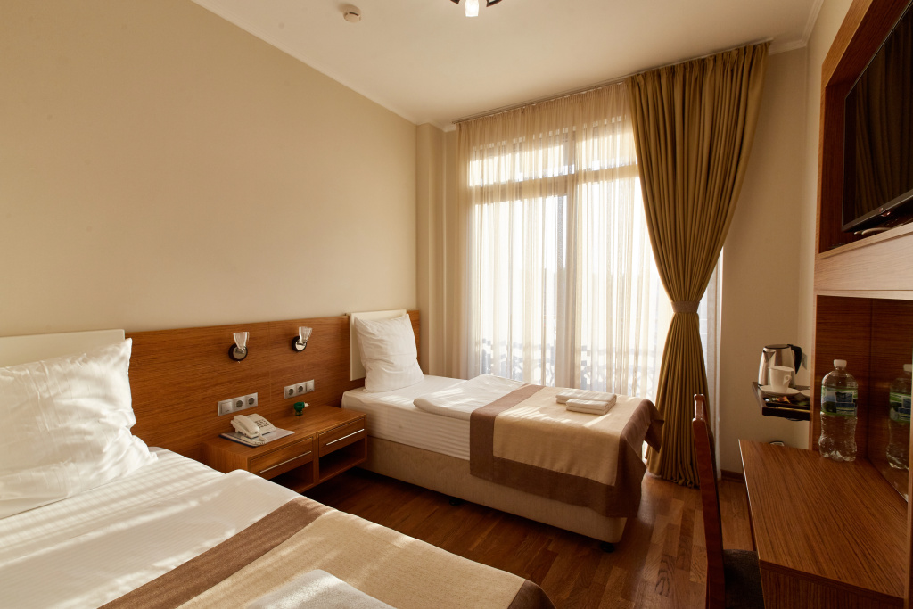 Standard Double room (twin beds)