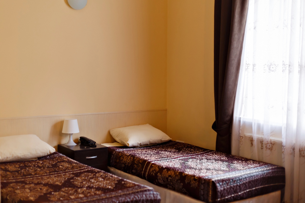 Standard Double room with view (twin beds)