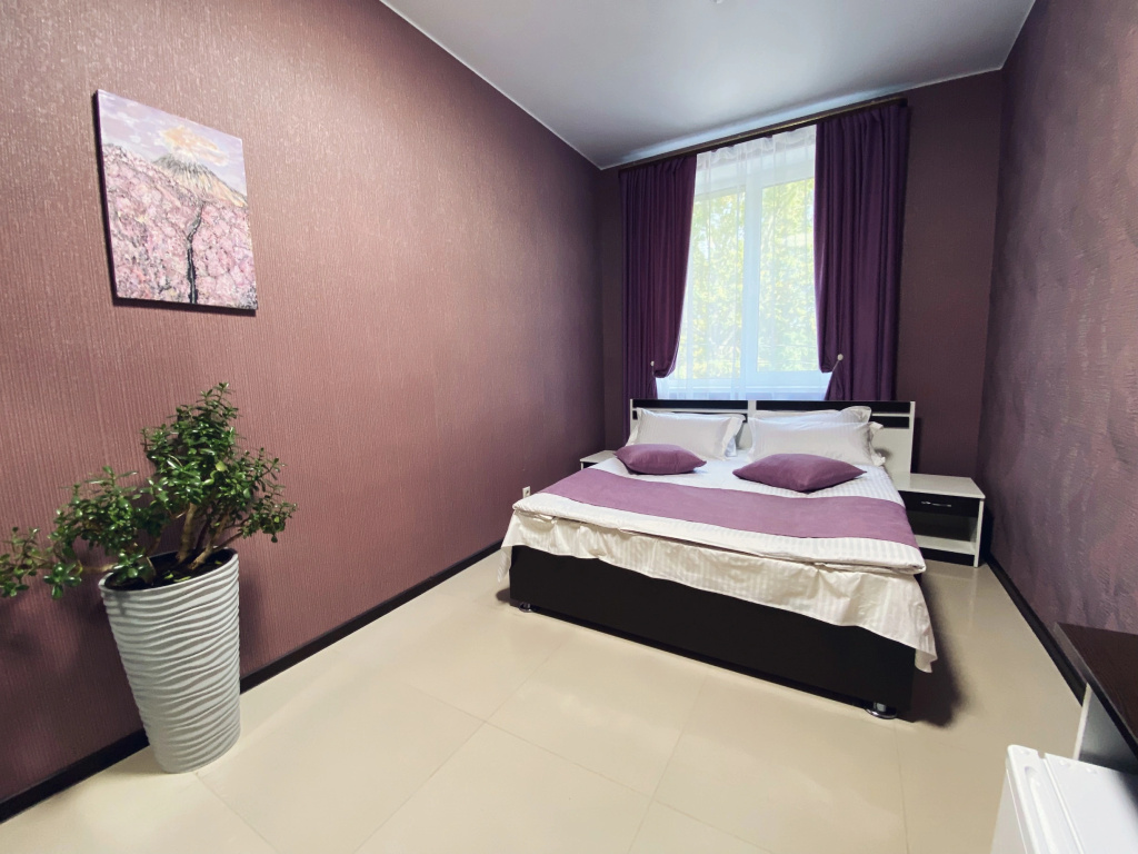 Standard Double room (full double bed)
