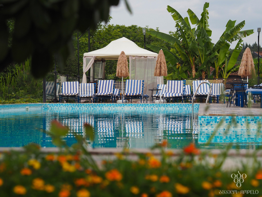 Ampelo Hotel Kardenakhi, Кахетія, Грузія мініатюра 20