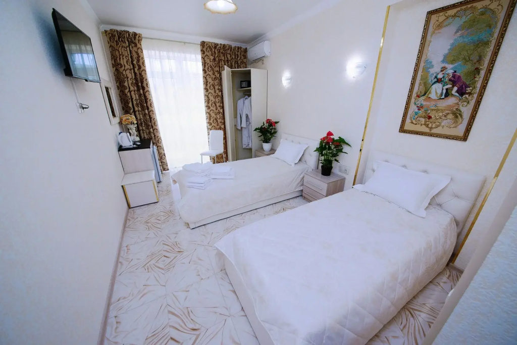 Standard Plus Double room with balcony (twin beds)