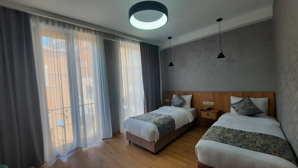 Standard Double room with city view (twin beds)